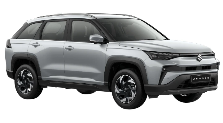 Splendid Silver Pearl Metallic + Bluish Black Pearl