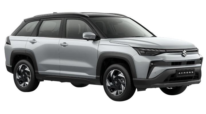 Splendid Silver Pearl Metallic