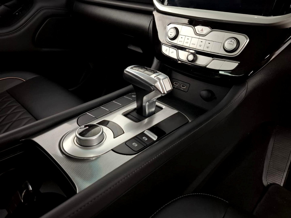 2021 GWM P SERIES 2.0 LS D CAB 4X2 AT