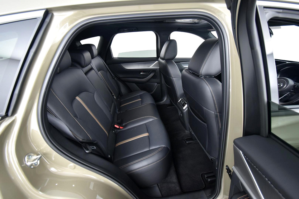 2025 MAZDA CX-60 3.3 DE TAKUMI EDTION AWD AT
